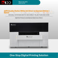 M100Pro6090DTG Double Workstation Printing Machine (ep4)